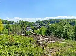 Frangenberg aus nordwestl. Richtung (NSG)