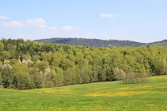 Der Franzosenkopf (Hintergrund) von Geiselbach in Bayern gesehen