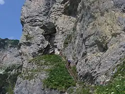 Blick auf den Westeingang