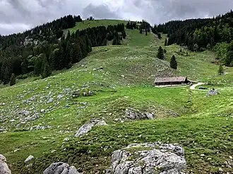 Almgebiet Freudenreichalm mit Freudenreichkapelle am Sattel oben