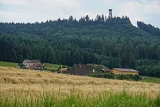 Der Frienisberg von Norden