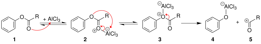 Mechanismus 1 der Fries-Umlagerung