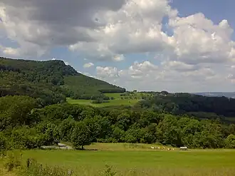 Das Fuchseck vom Gairenhof aus gesehen (2009)