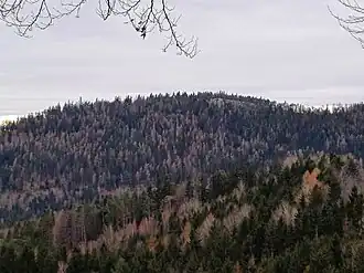 Fürwallnerhöhe (rechte) mit Novystein