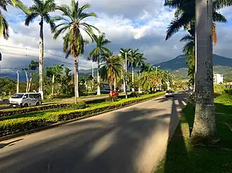 Die Avenida Las Palmas in Fusagasugá