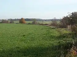 Typische Göselflur zwischen Oelzschau und Pötzschau