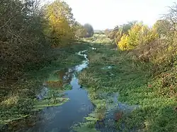 Die Gösel im neuen Flussbett bei Pötzschau