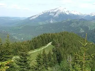 Blick von der Gęsia Szyja