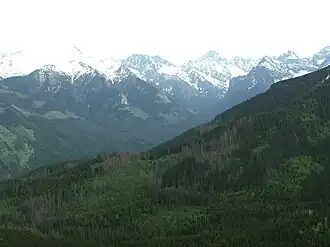 Hala Wołoszyńska von dem Gipfel Gęsia Szyja