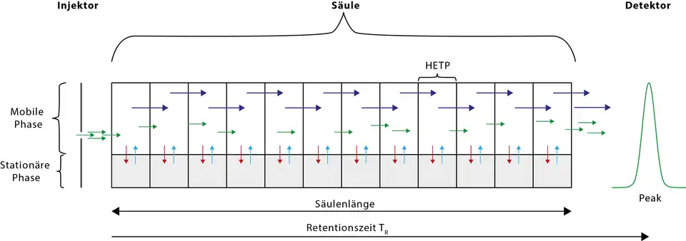 Schematische Darstellung der Vorgänge in der Säule (Verteilungschromatographie).