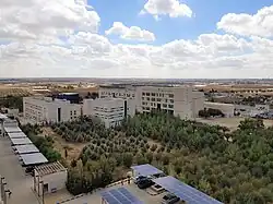 Blick über die Dächer: Solarzellen auf dem energieautarken Campus in Madaba