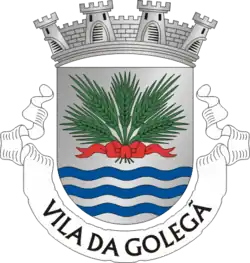 Flagge des Concelhos Golegã