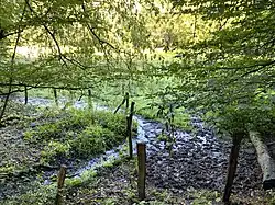 Borberger Siefen mündet in die Talaue