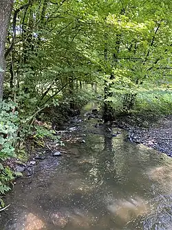 Große Dhünn nordöstl. Odenholler Mühle