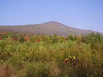 Der Mount Greylock