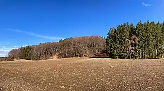 am Galgenberg, Südseite