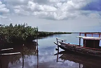 Tanbi Wetland Complex in der Nähe der Lamin Lodge