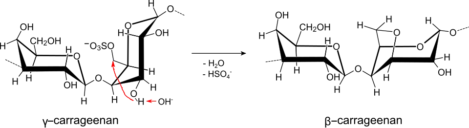 Bildung von beta-Carrageenan aus gamma-Carrageenan