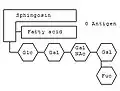 Schematische Darstellung des Gangliosids der Blutgruppe 0.