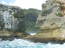 Tölpelkolonie, Māori Bay im Hintergrund