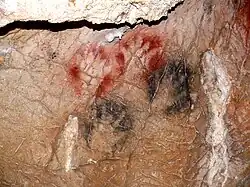 Hände in der Höhle von Gargas