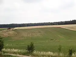 Gartequelle inmitten einer Wiese östlich von Weißenborn