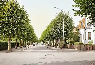 Straße in Teckomatorp