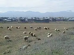 Randgebiet der Stadt, 2009