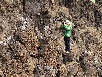Amateur bei der Vogelfotografie