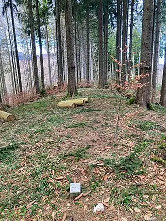 Kamm des Gefällbergs