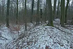 Wallkrone und Graben, links