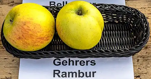 Ansicht der Frucht