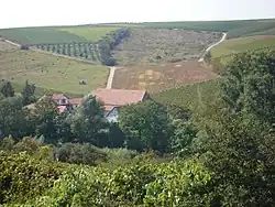 Geistermühle, Uffhofen