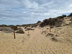 Wegmarkierung in den Dünen von Maspalomas