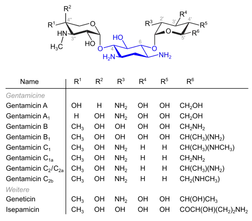 Gentamicine und verwandte Verbindungen (blau: Desoxystreptaminstruktur)