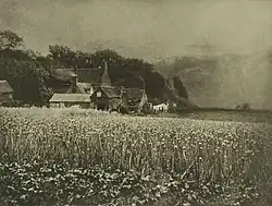 George Davison: The Onion Field. Veröffentlicht in Camera Work 18, 1907