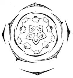 Blütendiagramm von Geranium pratense