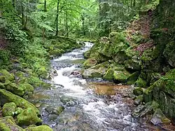 Im engen Talabschnitt unterhalb des Wasserfalls