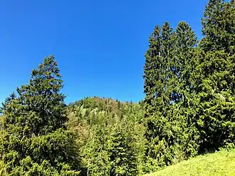 Gerstenrieder Kopf von der Mitteralm