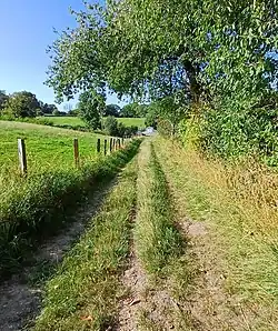 Wiesenabschnitt vor heutigem Bahnübergang (Hintergrund)