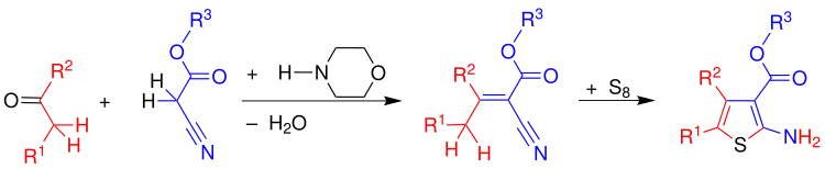 Übersicht der Gewald-Reaktion