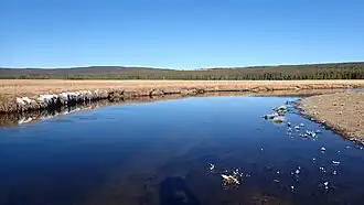 Gibbon River im Hochplateau Elk Park
