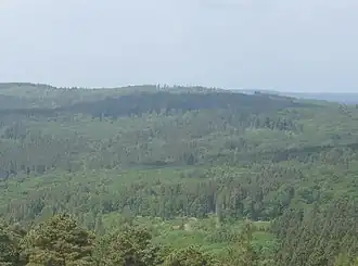 Blick vom Aussichtsturm auf dem Hausberg zum Gickel