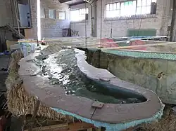 Detailansicht des Abgusses einer Seitenflosse