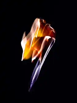 Ginkgo-Blatt Belichtungszeit 1/2 Sekunde