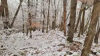 Höchster Punkt des Gulgberges