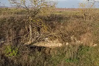 Doline mit Höhleneingang