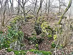 Hangrutschung mit Abrißspalten