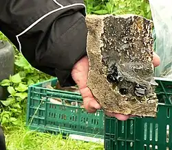 Fragment eines Glashafens mit Glasschmelze