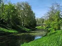 Die Glatt in Opfikon-Glattbrugg